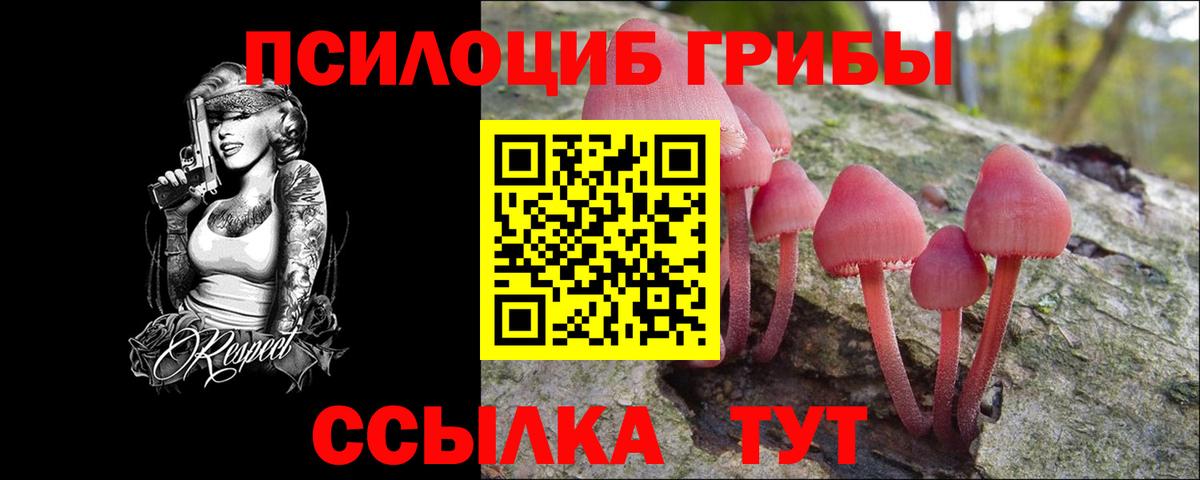 Псилоцибиновые грибы Psilocybe  Вход с VPN  Аша 